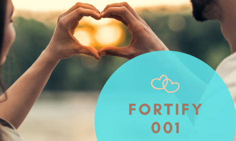 Fortify 001